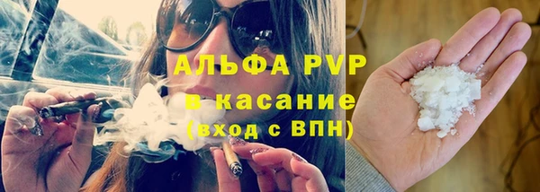 эйфоретик Аркадак
