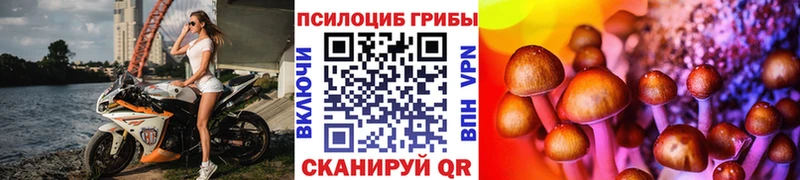 Псилоцибиновые грибы Psilocybine cubensis гидра ONION Учалы